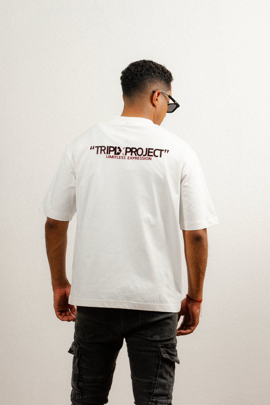 BASICS 2.0 T-shirt Premium Collection